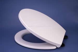 CS-D009