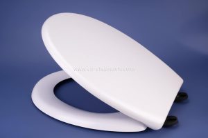 CS-D011