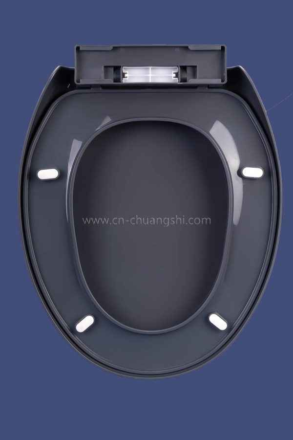 CS-PP1008 - Image 3